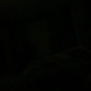 Meet your Posher, Maureen